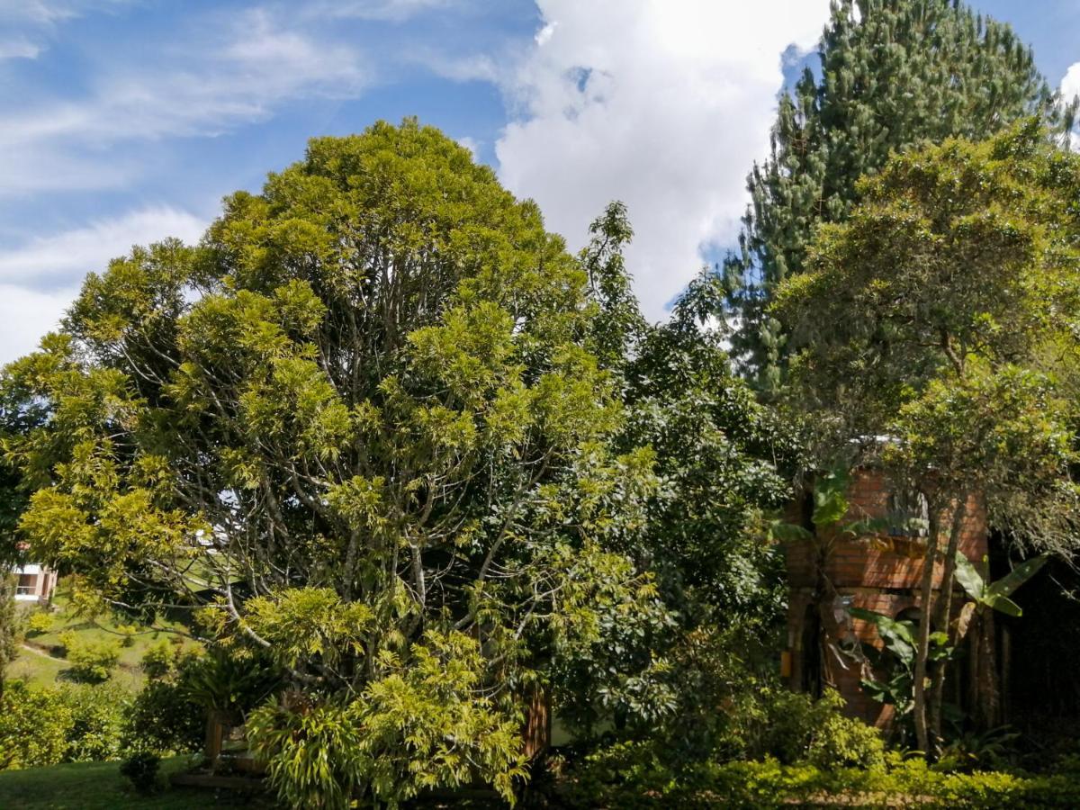 Hotel Hevilat Paraíso de Oriente Rionegro Exterior foto